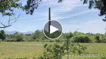 Ex Fornace Pellegrini, il Comune vuole comprarla all'asta: diventerà un nuovo polo culturale - Luccaindiretta - LuccaInDiretta