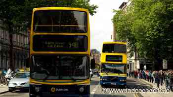 'Nuisance' grandad arrested after row with Dublin bus driver - Independent.ie