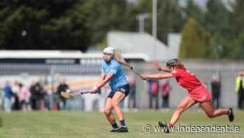Camogie: Cork forced to dig deep for victory as Dublin put it up to them - Independent.ie