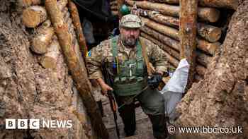 Donbas WW1 warfare and Britons in Ukraine rebel court - round-up