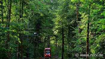 Thüringen: Betonklotz auf den Schienen: Zugunfall in Gotha - n-tv.de - n-tv NACHRICHTEN