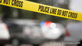 Texas inmate, three prison guards involved in crash following prisoner transport halt - Fox News