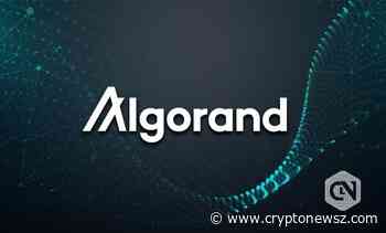 Algorand Gets a Buying Rally; Will ALGO Rally Continue? - CryptoNewsZ
