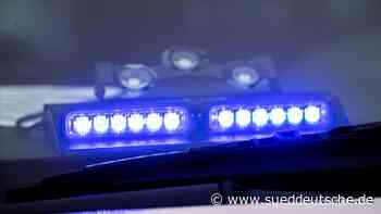 Tiere - Celle - Kater fällt in Schornstein: Gerettet - Wissen - SZ.de - Süddeutsche Zeitung - SZ.de