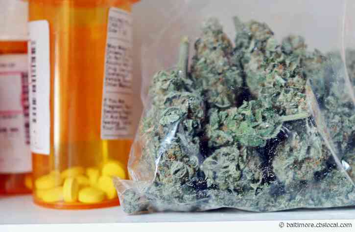 Prescription Cannabis Products With More THC May Ease Chronic Pain, Study Finds