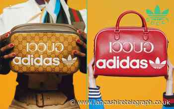 Adidas reveals Gucci crossover collection - What to buy from the exciting collaboration