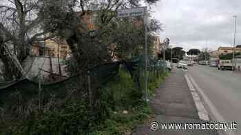 Maggioranza e opposizione unite per il futuro di Cesano