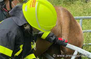 FW-F: Feuerwehr befreit Pferd aus misslicher Lage