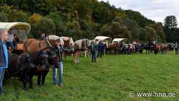 Augenweide für Pferdeliebhaber: Kutschenkorso in Neuenstein - hna.de