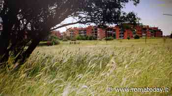 Nuova Tor Vergata in festa