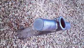 A VERCELLI I PREZZI CROLLANO - Risoitaliano.eu