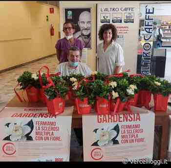 AISM VERCELLI – Gardensia 2022 - VercelliOggi.it - vercellioggi.it/