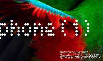 'Nothing' will launch the first British smartphone on 12 July