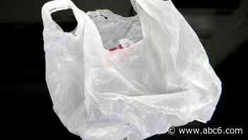 Rhode Island House committee to hear bill on plastic bag ban - WLNE-TV (ABC6)