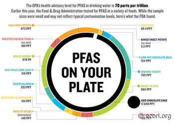 Rhode Island Must Address 'Forever Chemicals' - ecoRI news