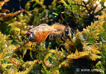 Fifth annual University of Rhode Island Research and Scholarship Photo Contest winners announced - University of Rhode Island