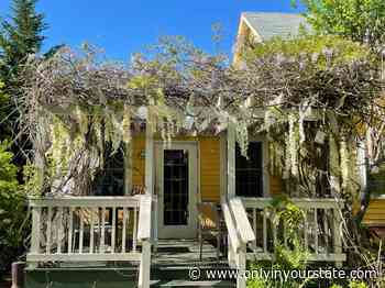 The Tree House Tavern Is A Treehouse Restaurant In Rhode Island That’s Straight Out Of A Fairytale - Only In Your State