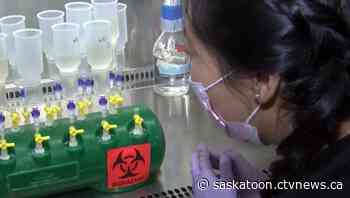 Saskatoon COVID-19 levels in 'low range' based on wastewater samples - CTV News Saskatoon