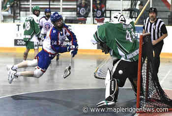 Burrards lose close contest against high-scoring Shamrocks – Maple Ridge News - Maple Ridge News