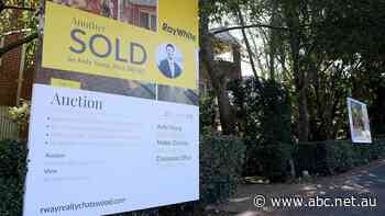 Declining Sydney property prices a forecast for the rest of Australia, experts say - ABC News