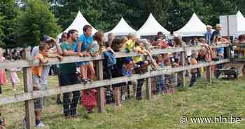 Schone Schaapjes lokt vlotjes ruim 10.000 bezoekers ondanks wisselvallige zondag - Het Laatste Nieuws