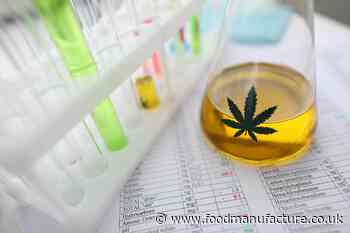 EFSA demands more data for CBD Novel Foods applications