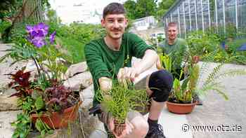 Pflanzen-Raritätenbörse wieder im Botanischen Garten Jena
