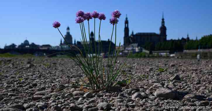 DWD: Temperatur in Deutschland steigt weiter deutlich