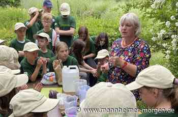 Minigärtner bereiten sich auf die Buga vor - Mannheim - Nachrichten und Informationen - Mannheimer Morgen