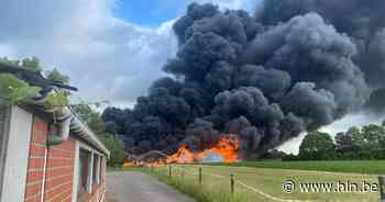 Zware brand in serres tuinbouwbedrijf in Wetteren: meerdere ontploffingen te horen - Het Laatste Nieuws