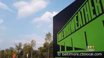 Merriweather Post Pavilion To Reveal Commissioned Sculptures