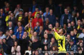 Watford scotch reports linking Dennis and Pedro with Udinese