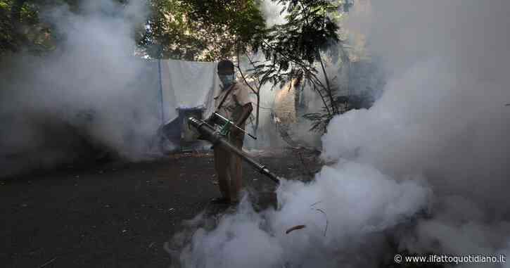 Emergenza Dengue a Singapore, superati gli 11mila casi. Gli esperti: “Con il cambiamento climatico si diffonderà nel mondo”