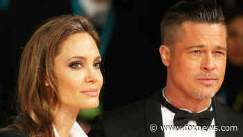 Brad Pitt accuses Angelina Jolie of intentionally harming him by selling Château Miraval to Russian oligarch