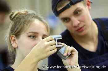 Anmeldung für Firmentage läuft - Einblicke in viele Berufe - Leonberger Kreiszeitung