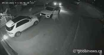 Police release videos of suspects in Mississauga home invasion robbery