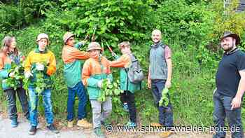 50 Jahre Burg Hornberg: Schüler lernen den Wald ganz praktisch kennen