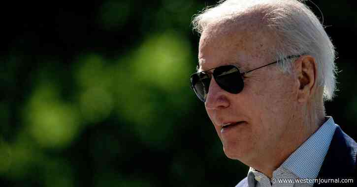 Failing President Becomes Failing Grandfather: Biden Hasn't Provided Security for Endangered Grandchild - Report