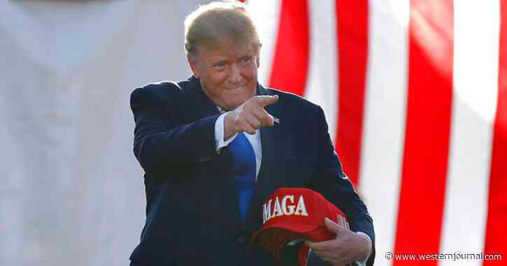 Trump-Endorsed Candidates Appear to Notch Perfect Record on Busy Primary Day