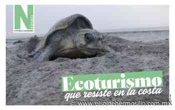 Ecoturismo que resiste en la costa - El Sol de Hermosillo