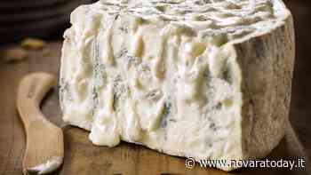 A Galliate arriva "Fai Food Estate": sabato 11 giugno protagonista il gorgonzola - NovaraToday