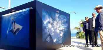 L'exposition de photos pour la préservation de l'environnement de la Fondation prince Albert II s'installe au Larvotto