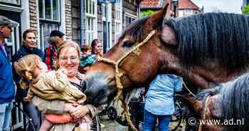 Regen zit paardenmarkt in Numansdorp dwars | Hoeksche Waard - AD.nl
