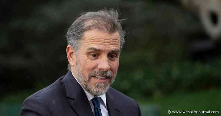 Forensic Expert Recovers 168,000 Deleted Files from Hunter Biden's Laptop: Report