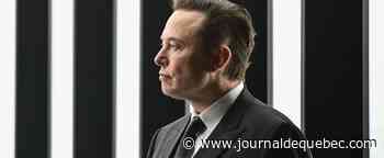 Twitter va fournir les données sur les faux comptes à Elon Musk