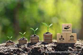 Vergütung: Wie Fondsanbieter Boni an ESG-Ziele koppeln - FondsProfessionell.at