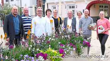Freie Wähler Nagold - Das Herz der Stadt soll kräftig schlagen - Schwarzwälder Bote