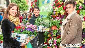 Volles Programm in Nagold - Abwechslung rund um die Gartenmesse - Schwarzwälder Bote