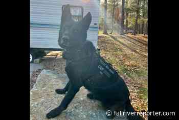 Seekonk K9, handler, capture 3 suspects wanted for multiple crimes - Fall River Reporter