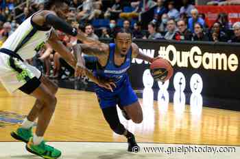 Guelph Nighthawks fall to River Lions (11 photos) - GuelphToday